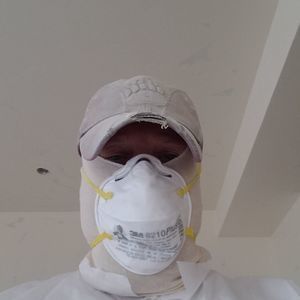 Meet your Posher, Rex